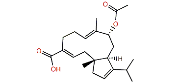 (1R,3E,7E,9S,11S)-9-Acetoxydolabella-3,7,12-trien-16-oic acid